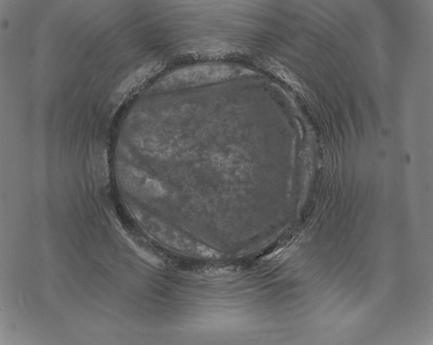 X0000074040638200609111740