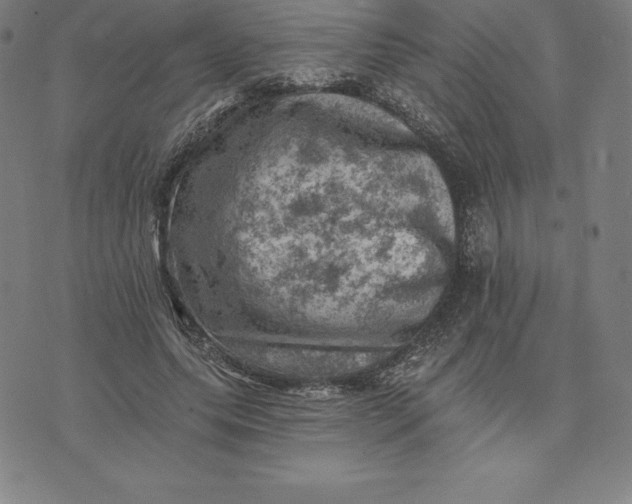 X0000074040639200609111740