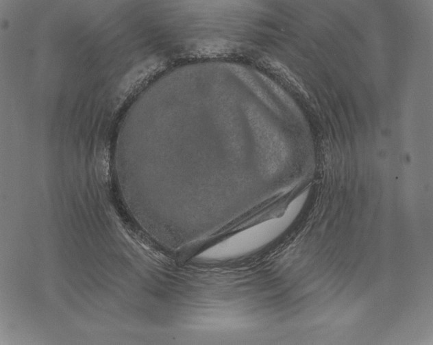 X0000074040640200609111740