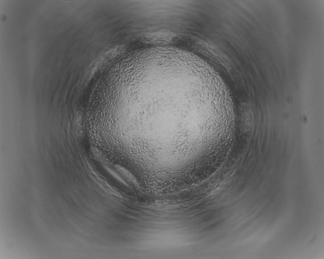 X0000074040641200609111740