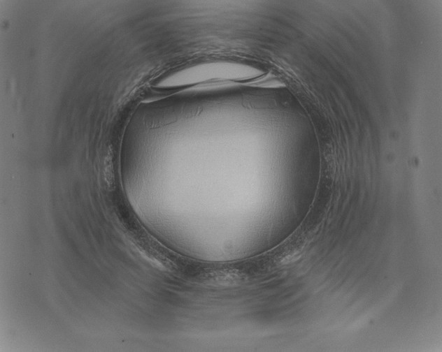 X0000074040642200609111740