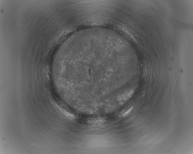 X0000074040643200609111740