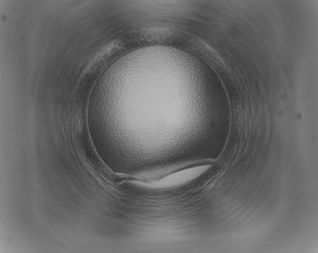 X0000074040644200609111740