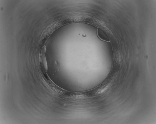 X0000074040645200609111740