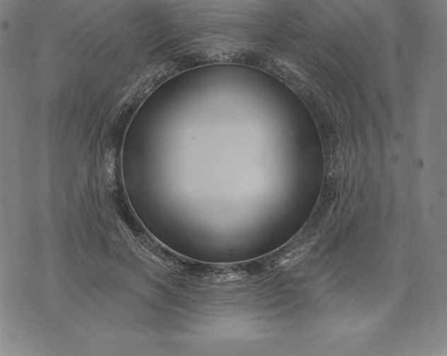 X0000074040646200609111740