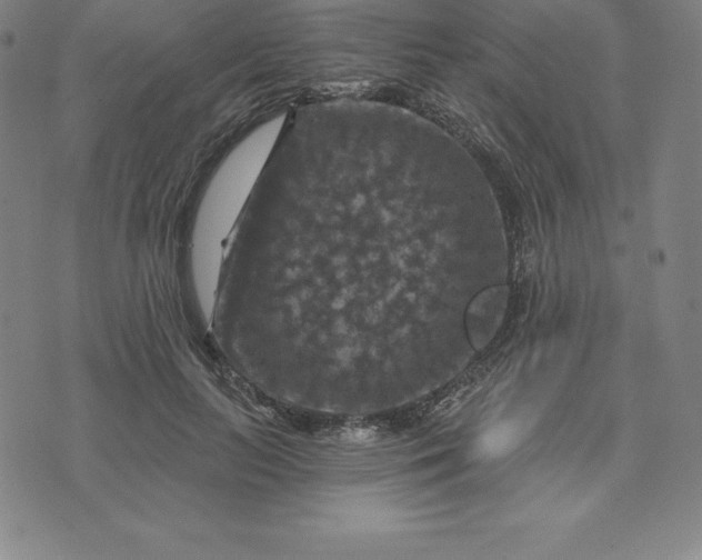 X0000074040647200609111740