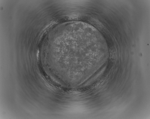 X0000074040648200609111740