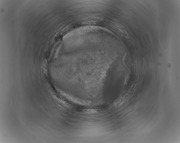 X0000074040649200609111740