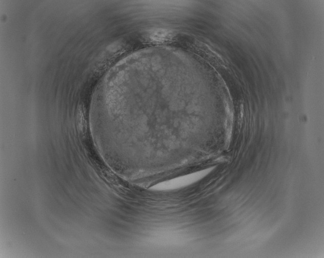 X0000074040651200609111740