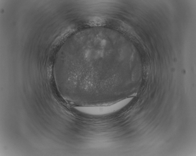 X0000074040652200609111740