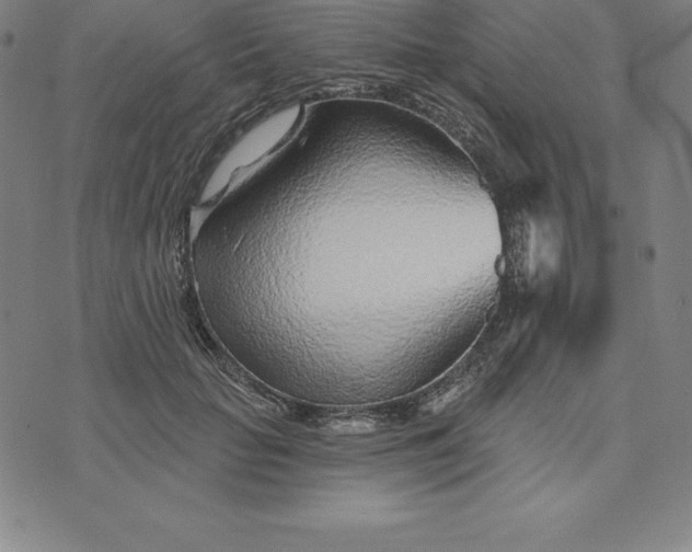 X0000074040653200609111740