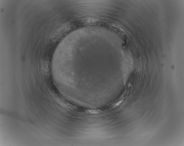 X0000074040654200609111740