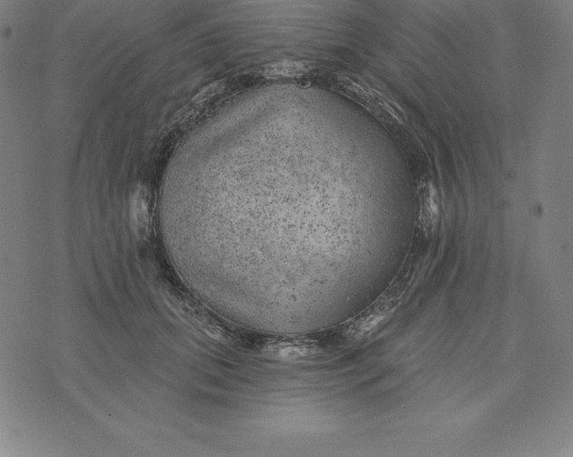 X0000074040655200609111740