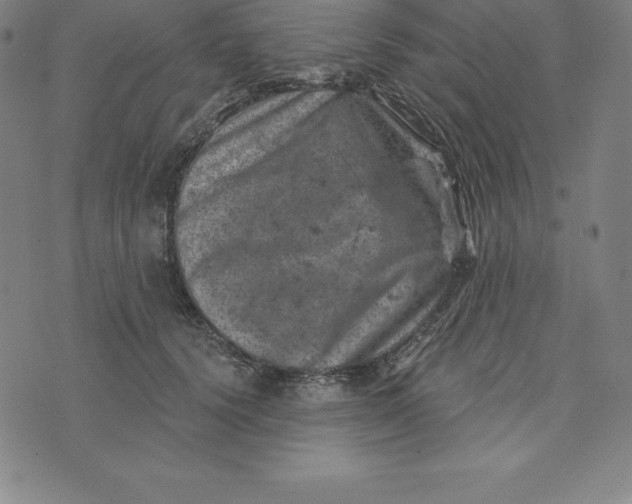 X0000074040656200609111740