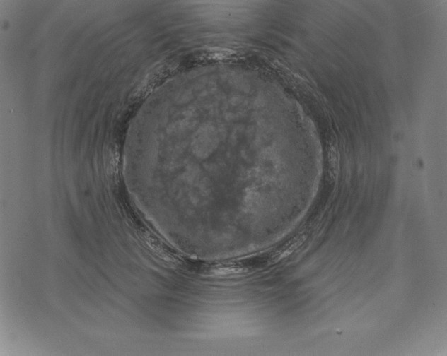 X0000074040657200609111740