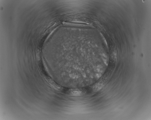 X0000074040658200609111740