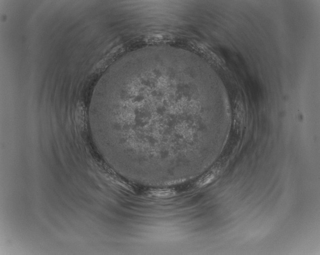 X0000074040659200609111740