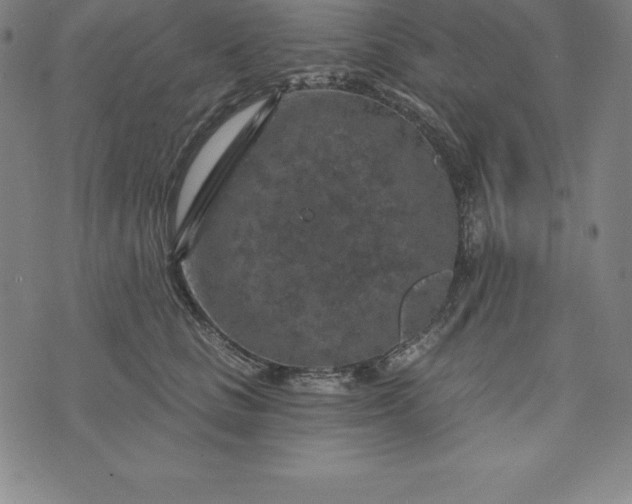 X0000074040661200609111740