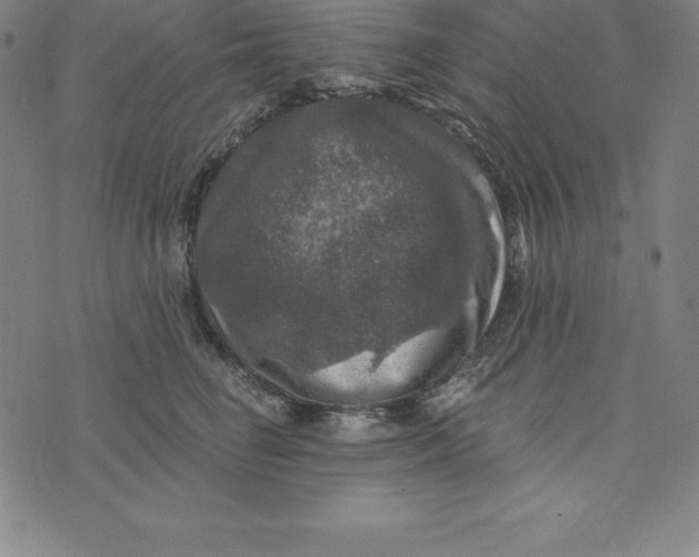 X0000074040662200609111740