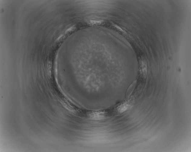 X0000074040664200609111740