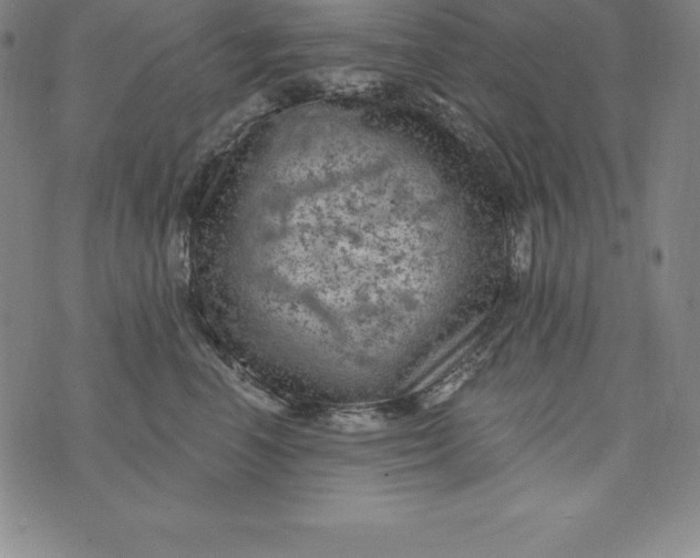 X0000074040666200609111740