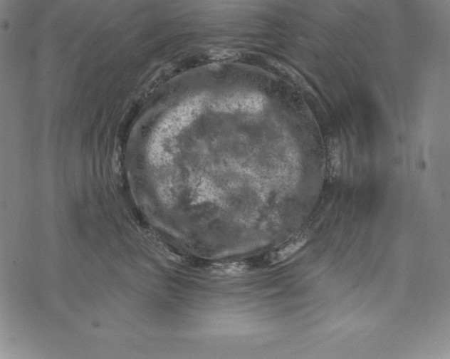 X0000074040667200609111740