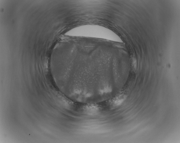 X0000074040668200609111740