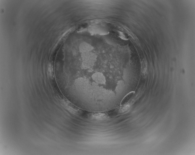 X0000074040669200609111740