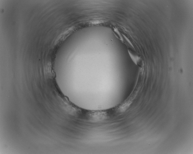 X0000074040670200609111740