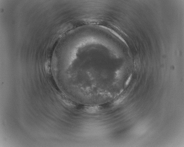 X0000074040671200609111740