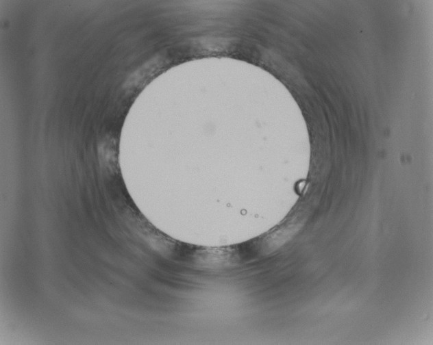 X0000074040672200609111740