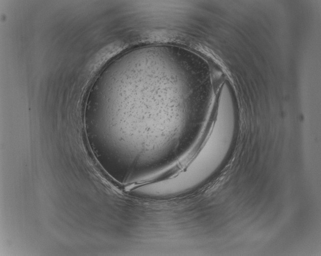 X0000074040673200609111740