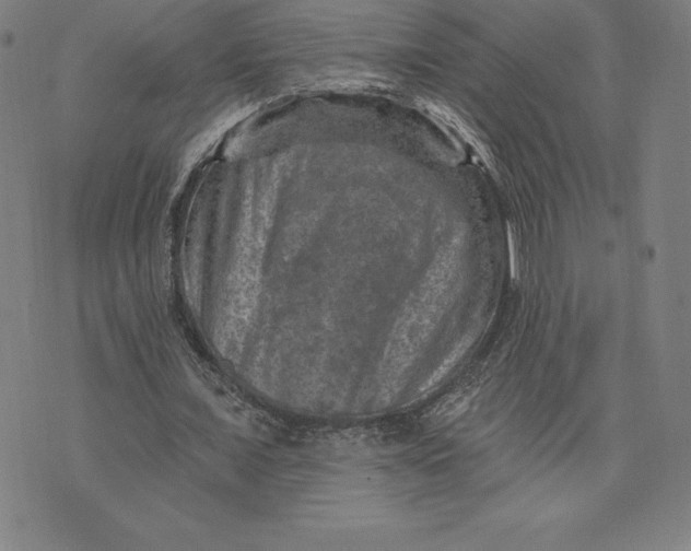 X0000074040675200609111740