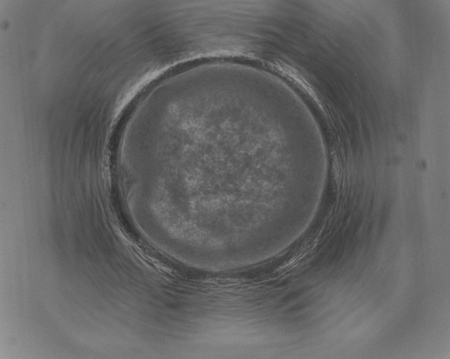 X0000074040676200609111740