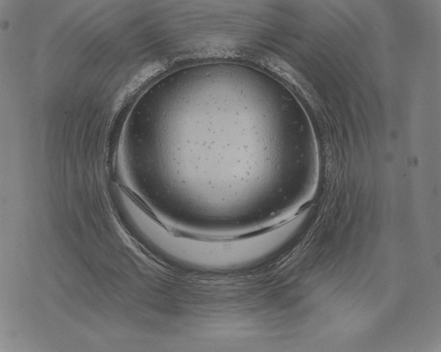 X0000074040677200609111740