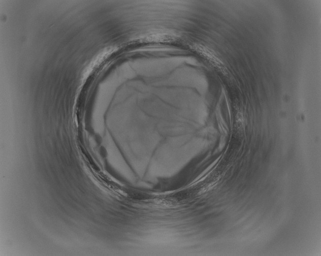 X0000074040678200609111740