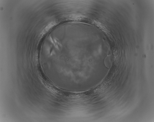 X0000074040679200609111740