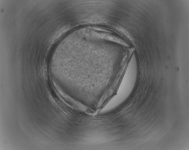 X0000074040680200609111740