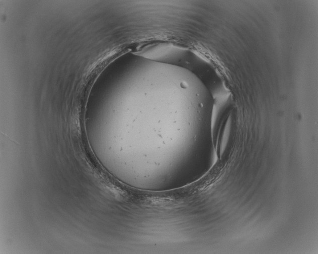 X0000074040681200609111739