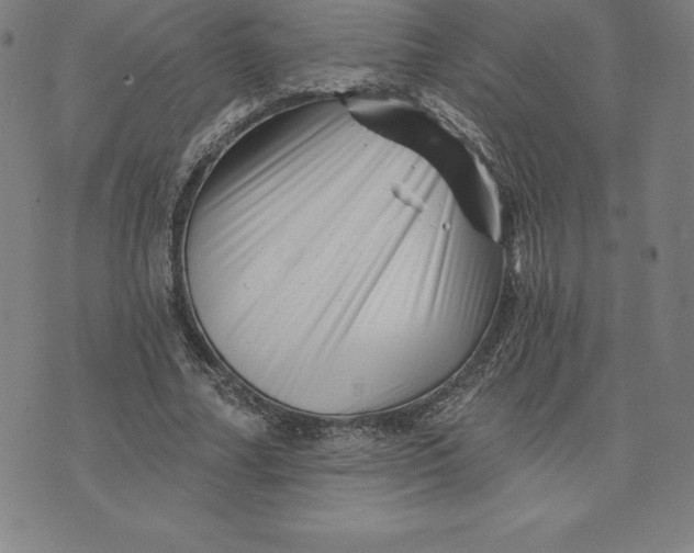 X0000074040682200609111739