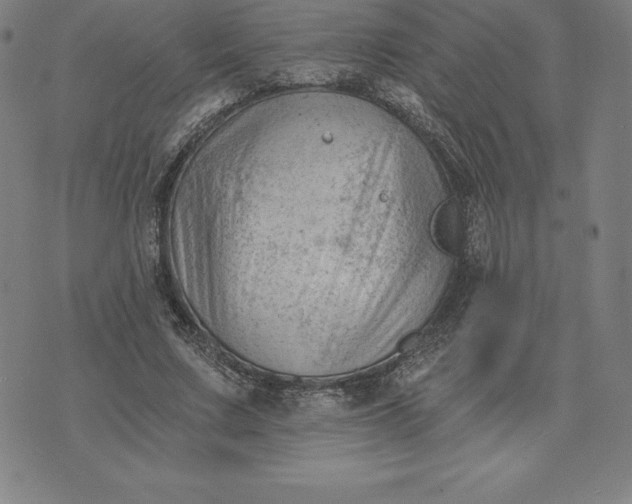 X0000074040683200609111739