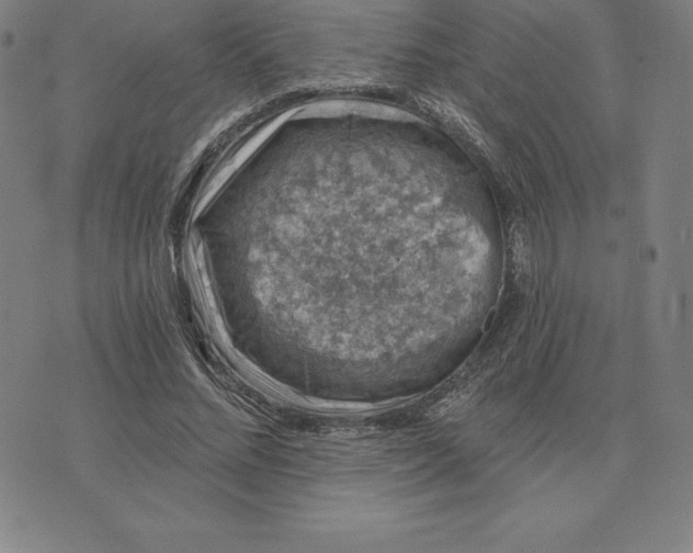 X0000074040684200609111739