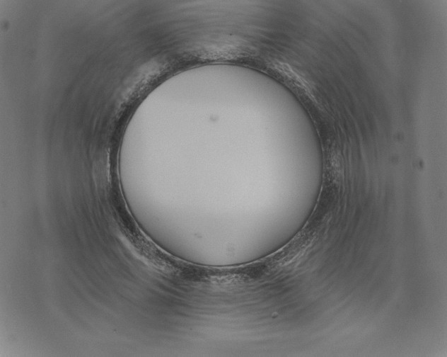 X0000074040686200609111739