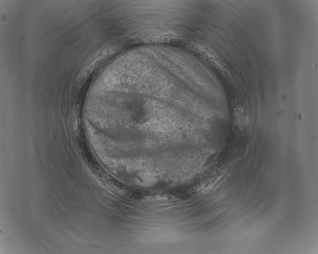 X0000074040687200609111739