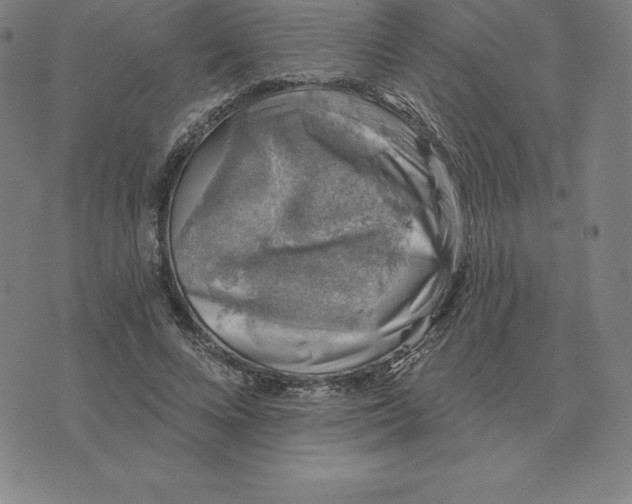 X0000074040688200609111739