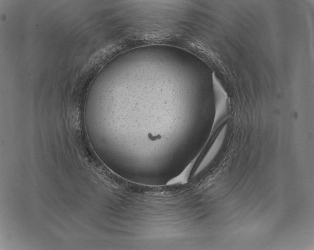 X0000074040689200609111739