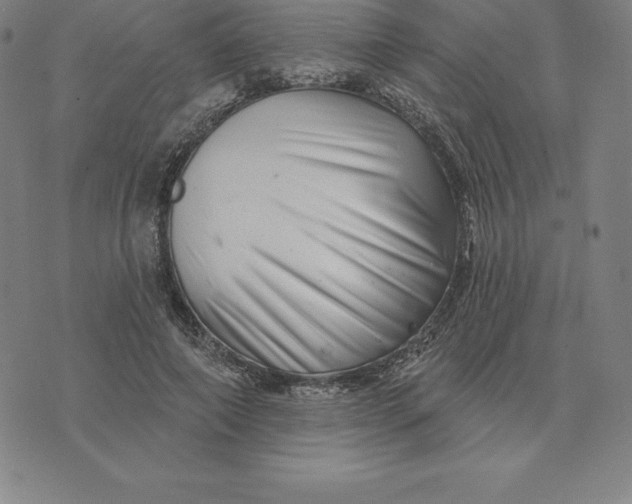 X0000074040690200609111739