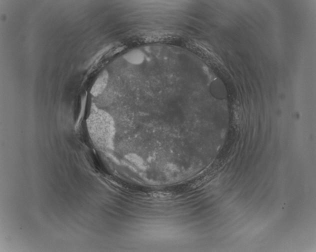 X0000074040691200609111739