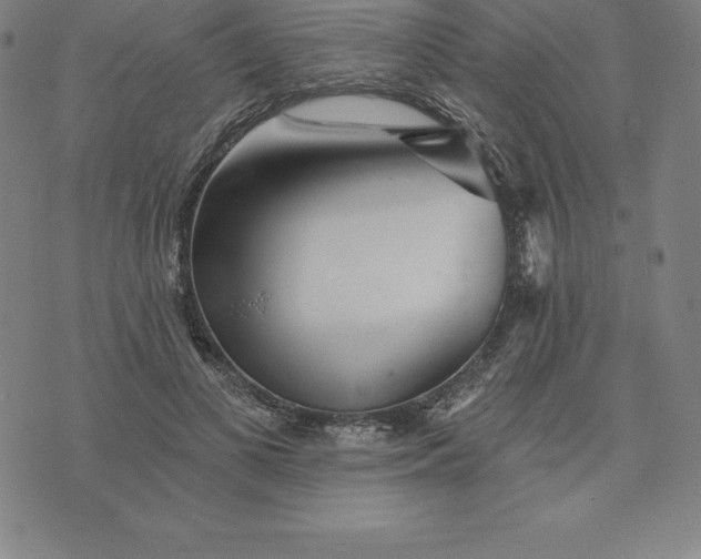 X0000074040693200609111739