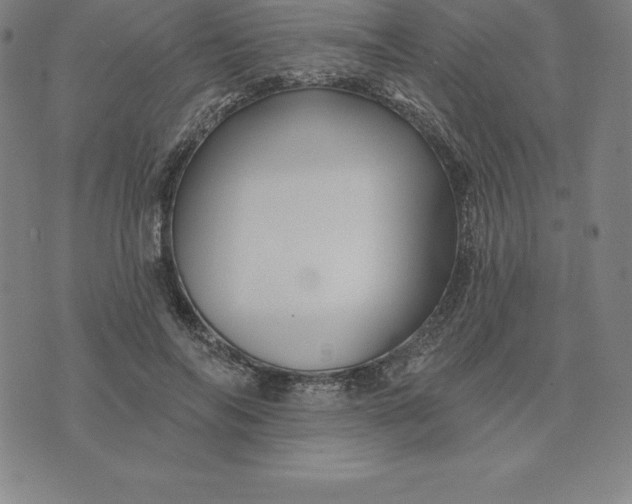 X0000074040694200609111739